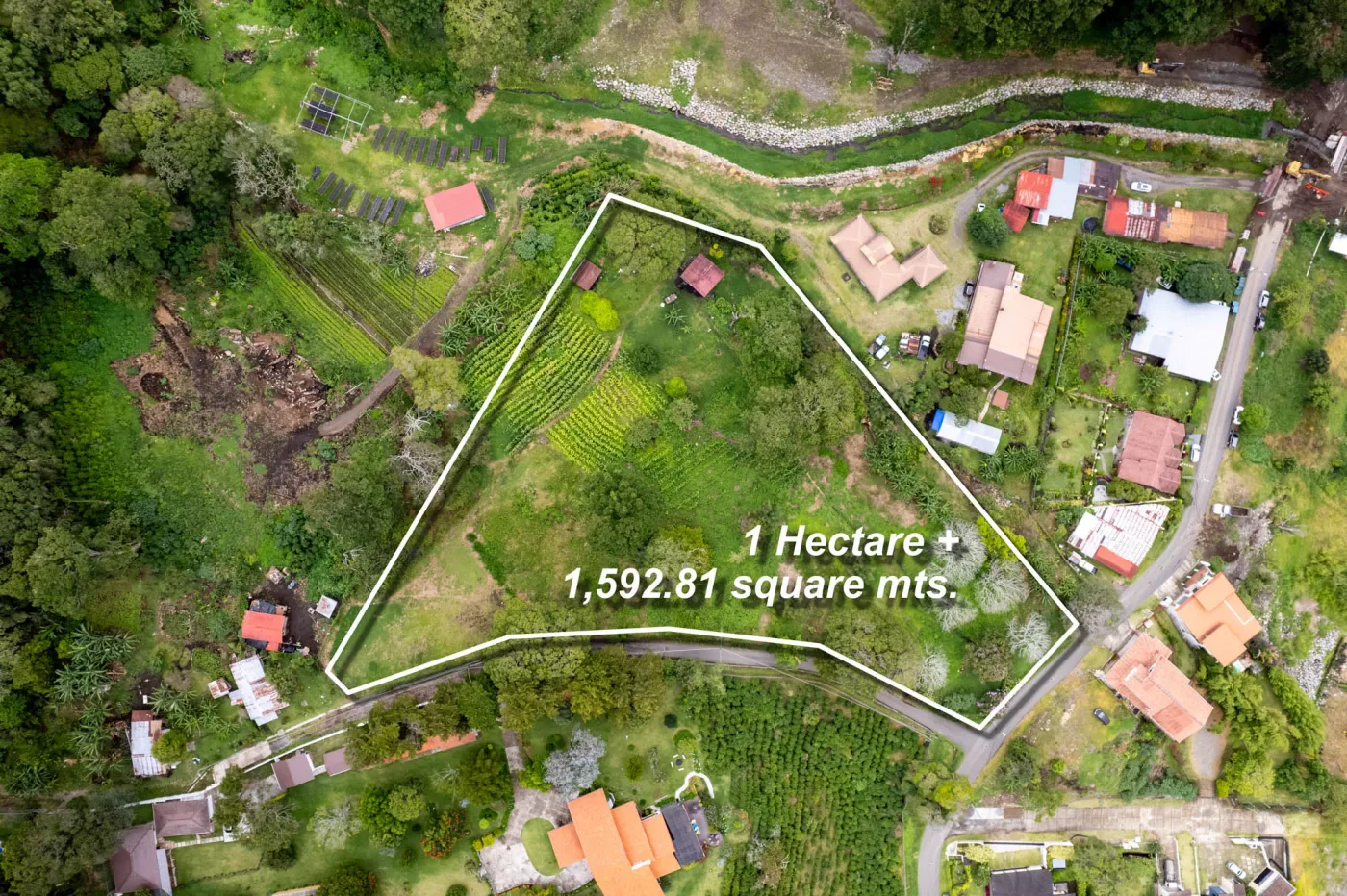 Tierra de desarrollo en Boquete